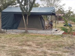 Mikumi Faru Tented Camp